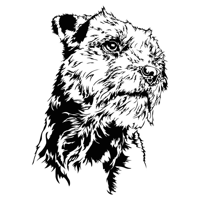BORDER TERRIER Chien Chien Wilsigns
