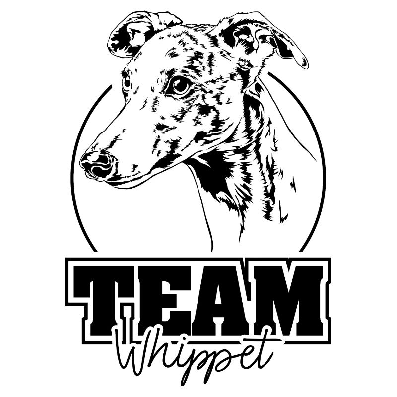 ÉQUIPE WHIPPET Chiens Lévriers Wilsigns