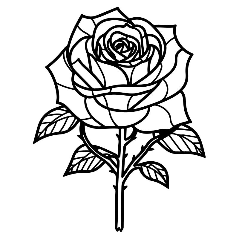 Épines de fleur de rose