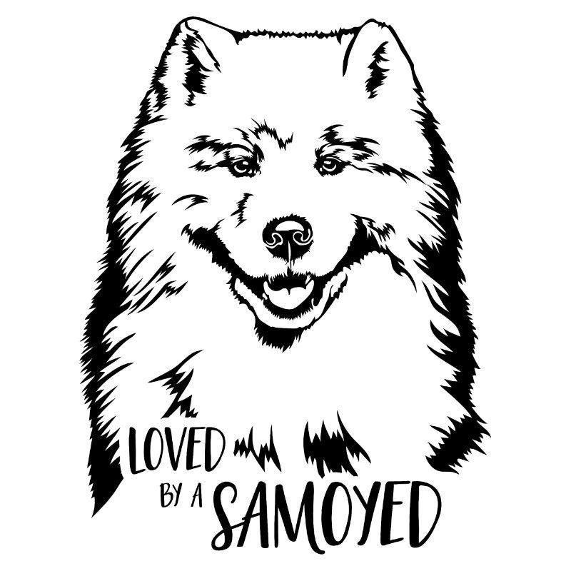 Loved by a Samoyed Hunde Samojede Hundespruch