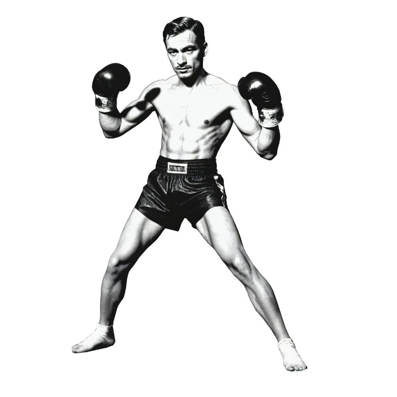 Boxer