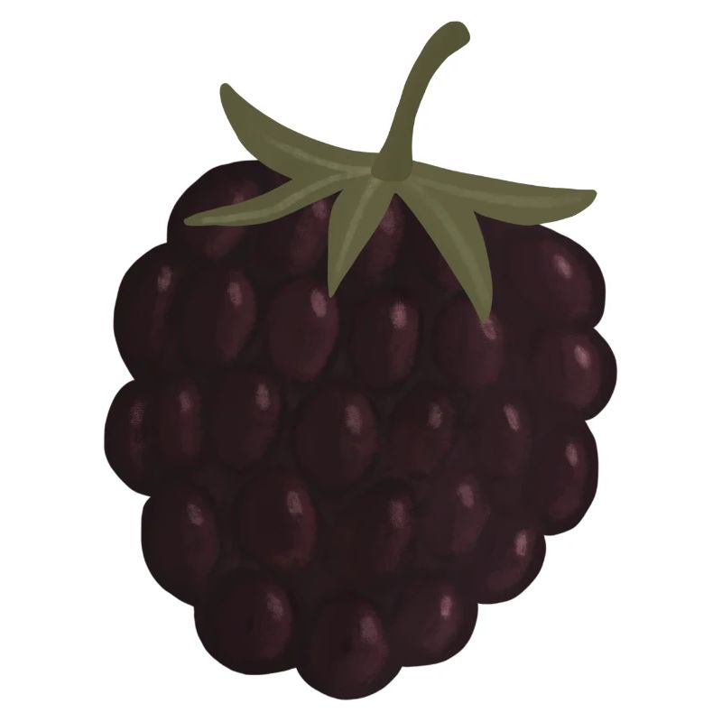 Brombeere
