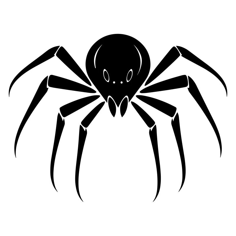 Spinne