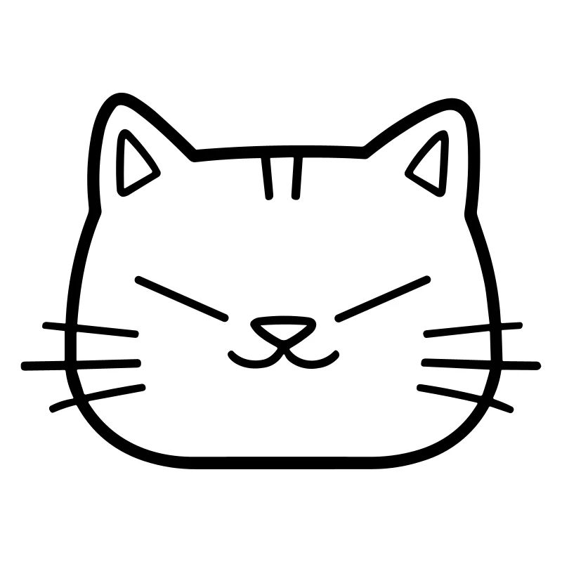 chat