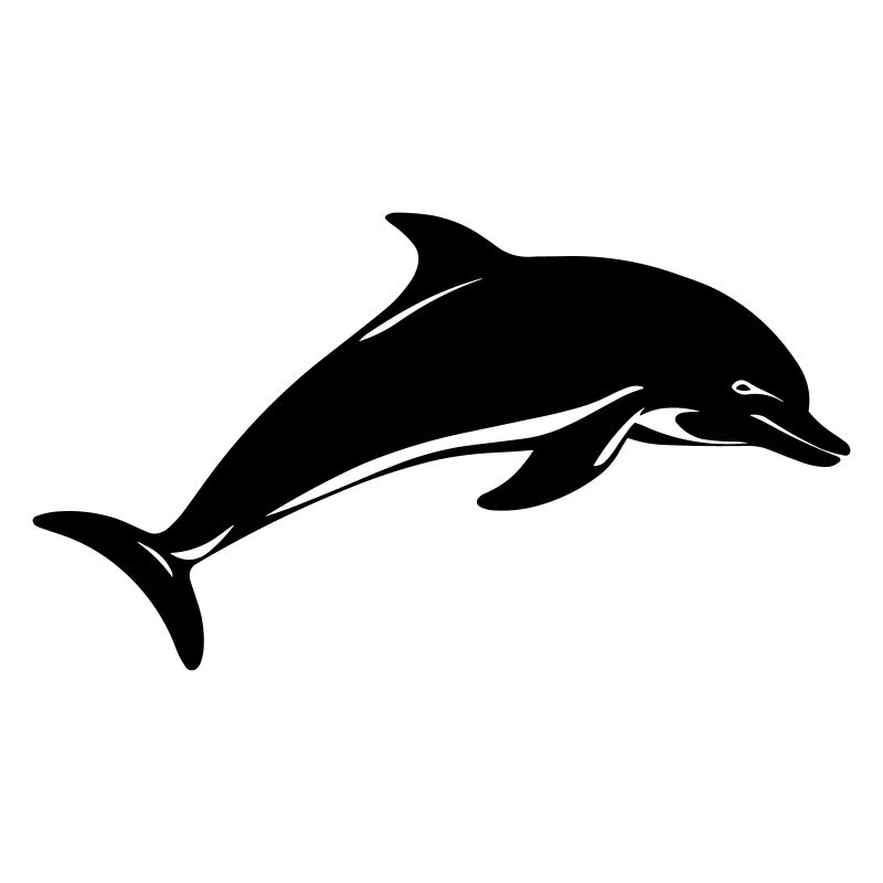 Bébé dauphin