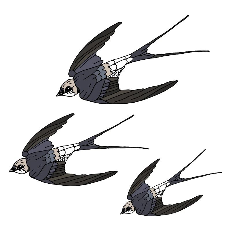 Oiseaux