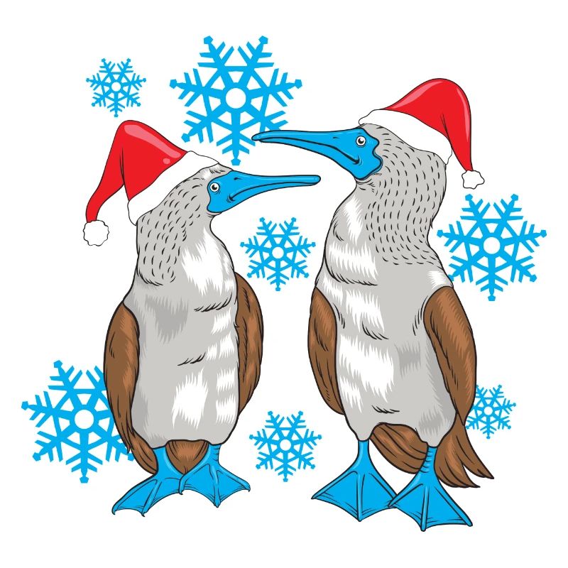Noël à pieds bleus