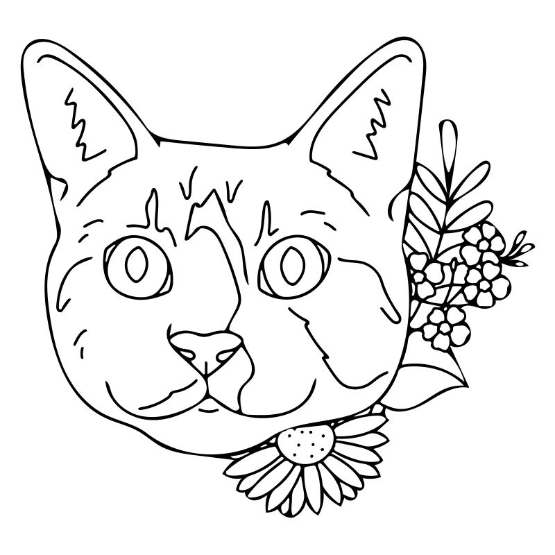 chat