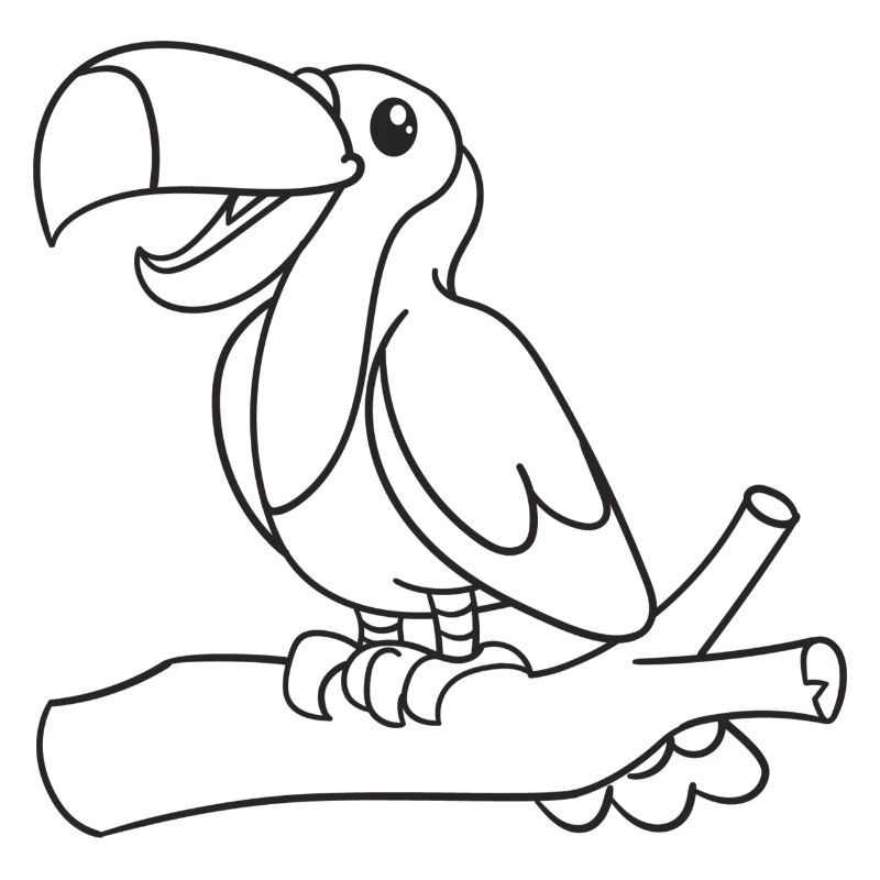 Tukan, Tukane, Vogel, Geschenk, Geschenkidee