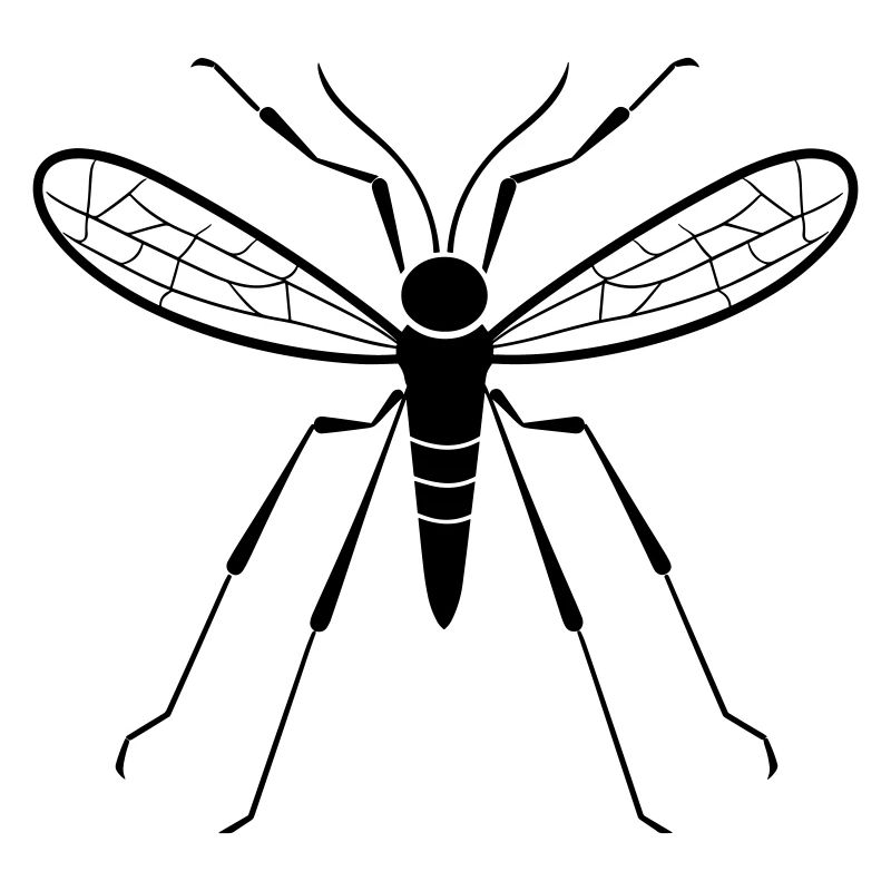 Mosquito