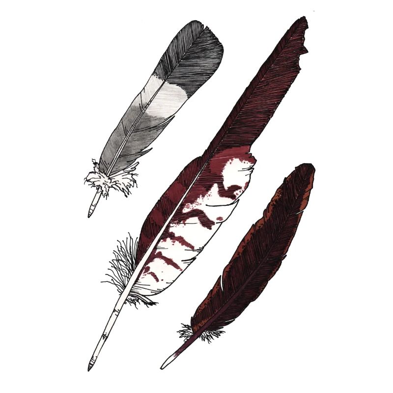 Feather Collection - Three Feathers Hand Drawn
