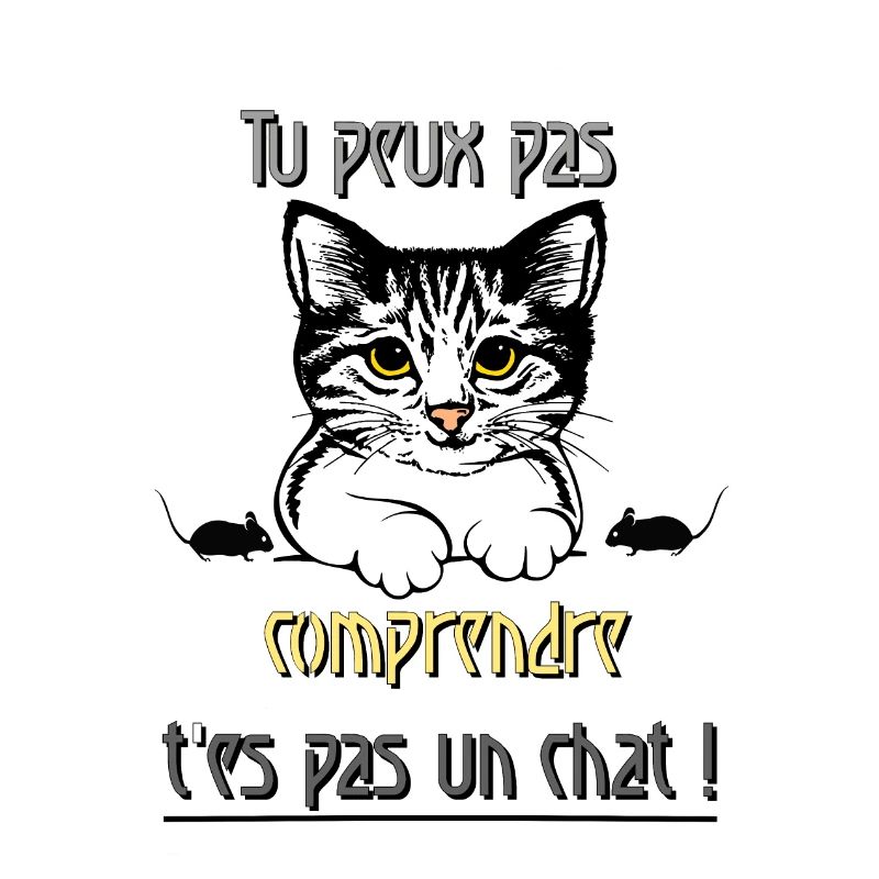 Tu peux pas comprendre t'es pas un chat