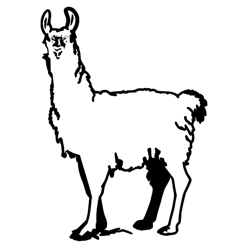 lama mignon
