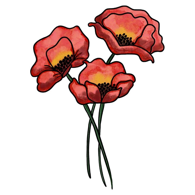 Mohnblumen