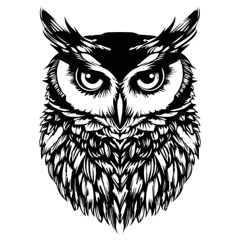 Eule Eulen Vogel Vögel