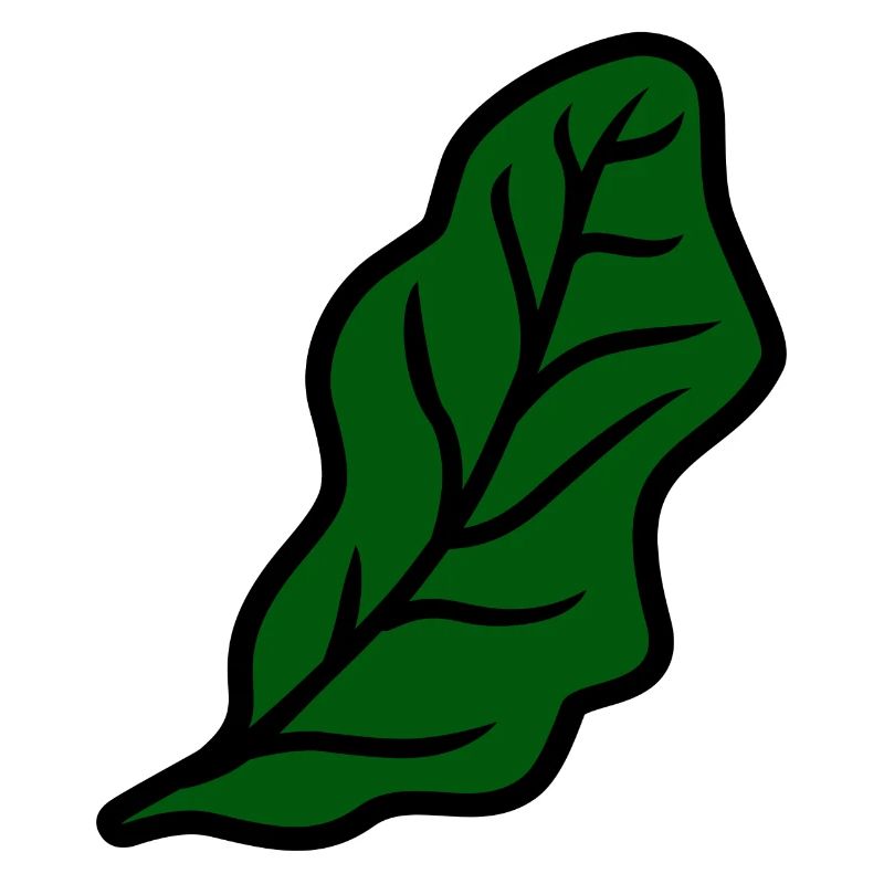 Feuille de salade