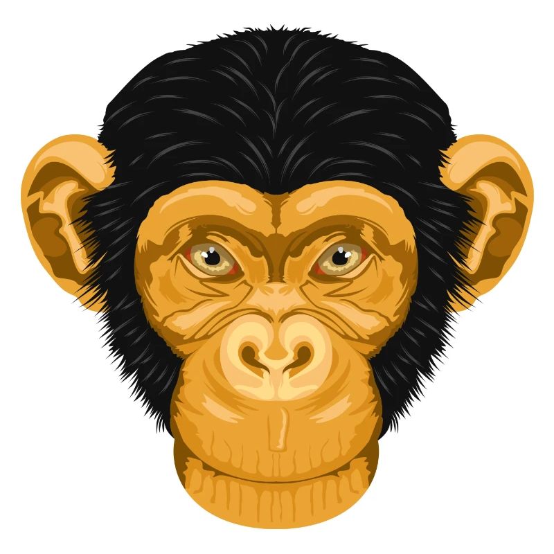 Monkey / Affe