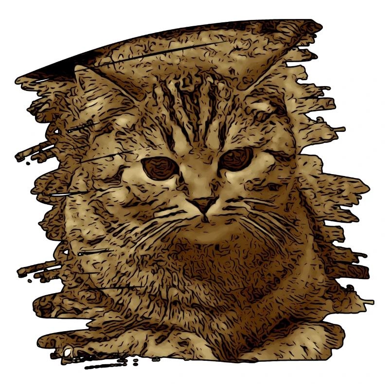 Visage de chat5