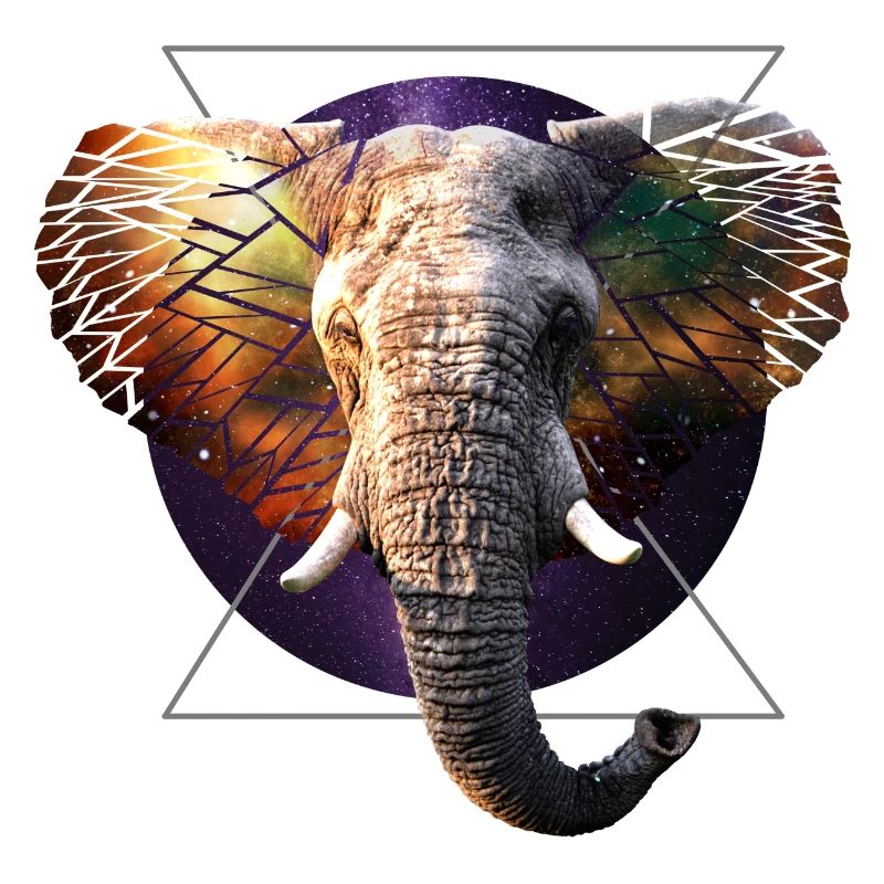 Éléphant de l’espace