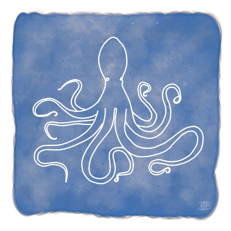 "Octopus", Boho Line Art Design, Series "Ocean"