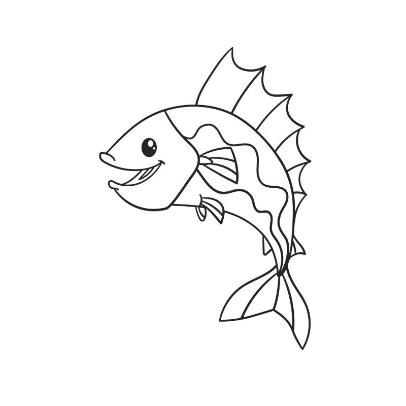 Fisch, Fische, Geschenk, Geschenkidee