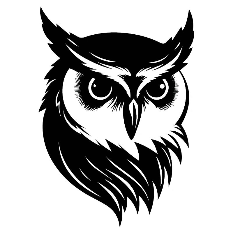 Eule Eulen Vogel Vögel