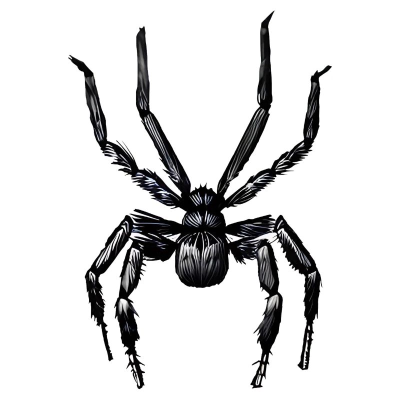 Araignée