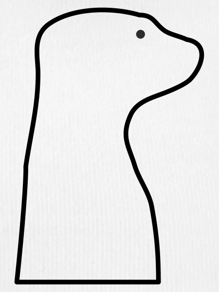 Suricate