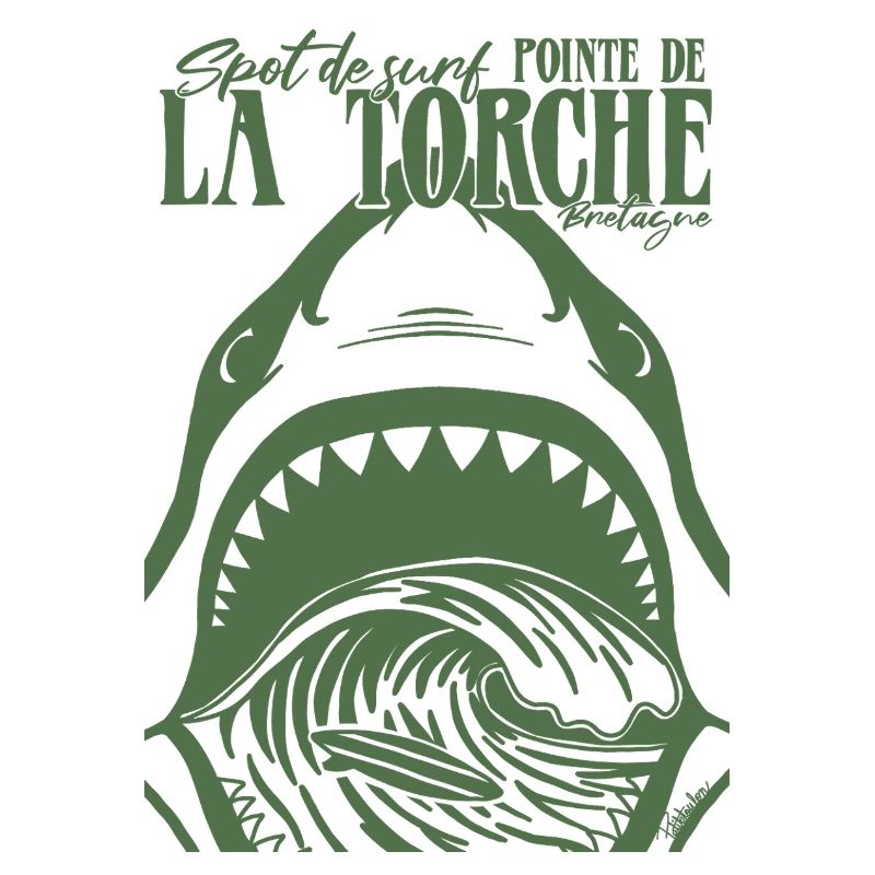 La Torche Surf Requin Bretagne