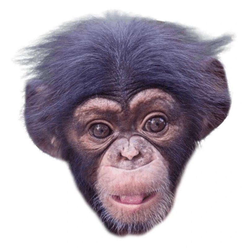 Mode de visage de singe mignon