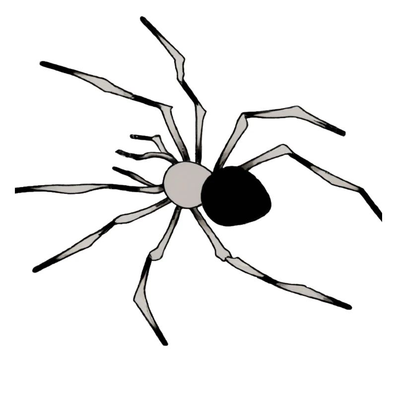 araignée Illustration