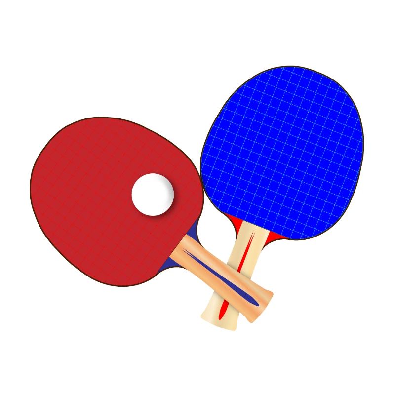 Paire de battes de tennis de table