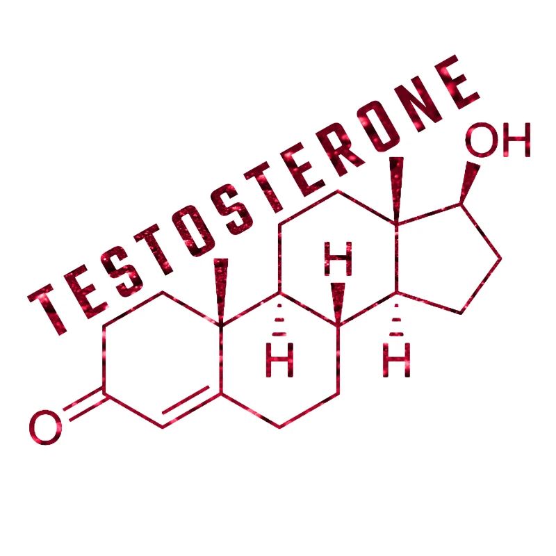 molécule de testostérone