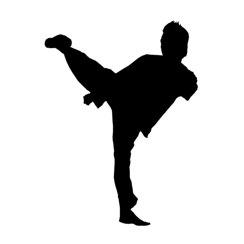 Bruce Lee Shadow Side Kick