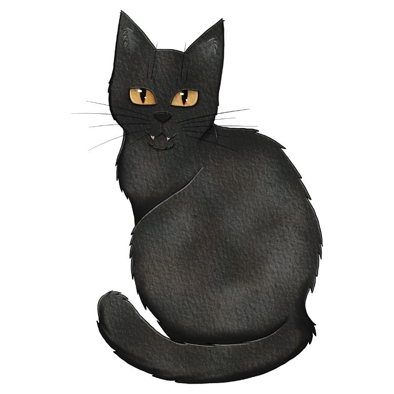 Schwarze Katze