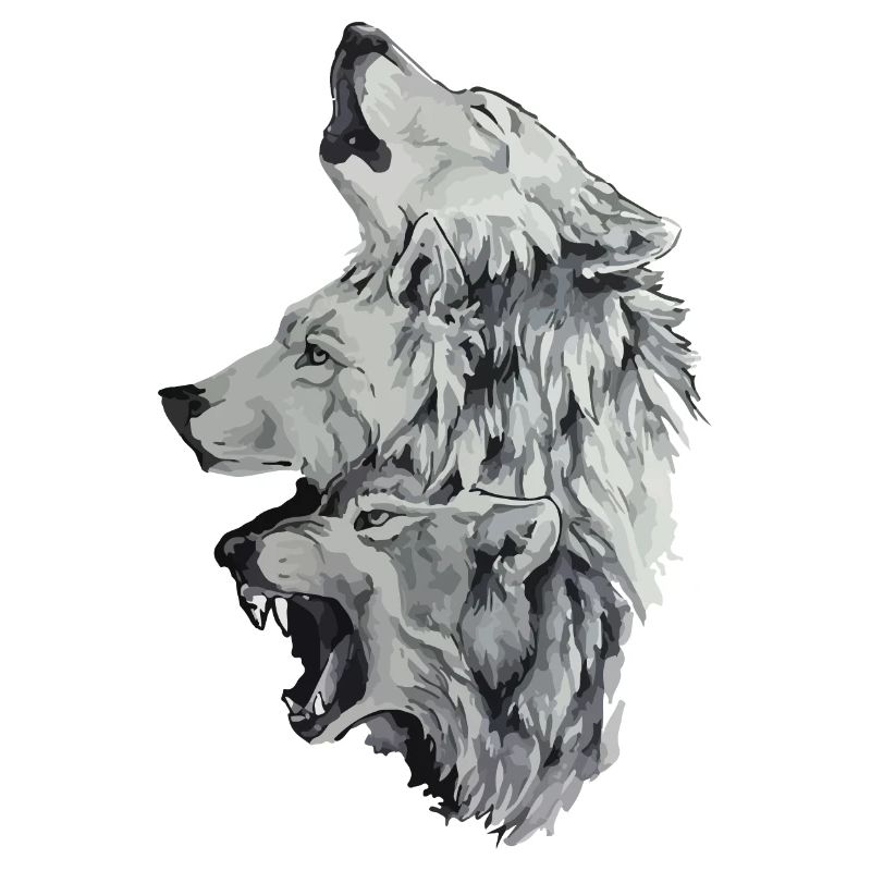 Three wolves