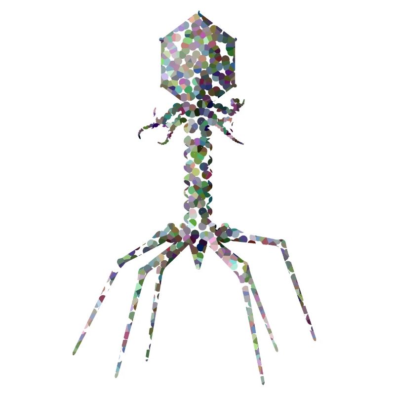 Bactériophage