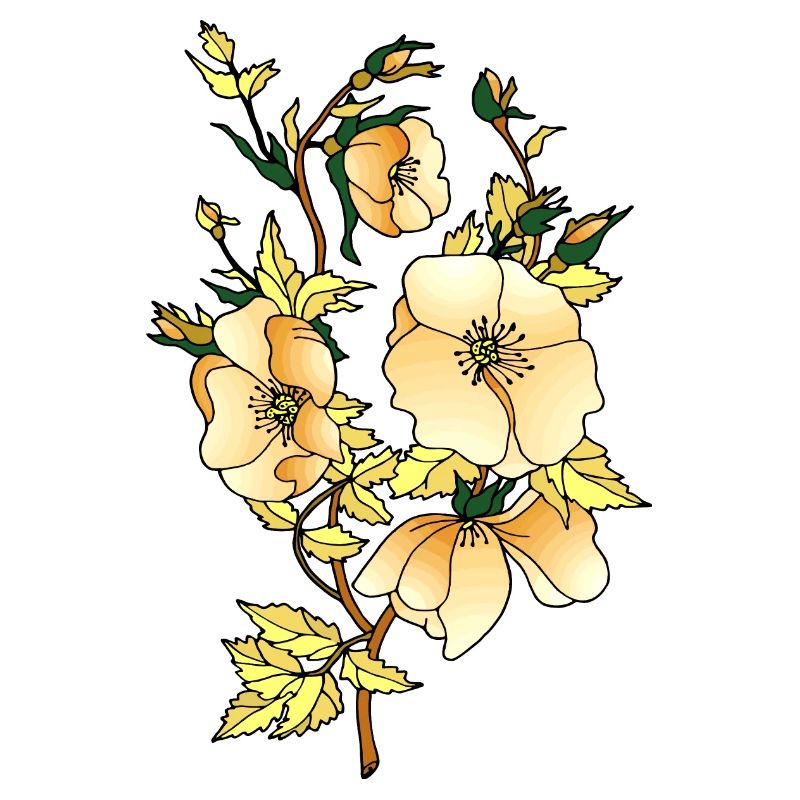 Fleur