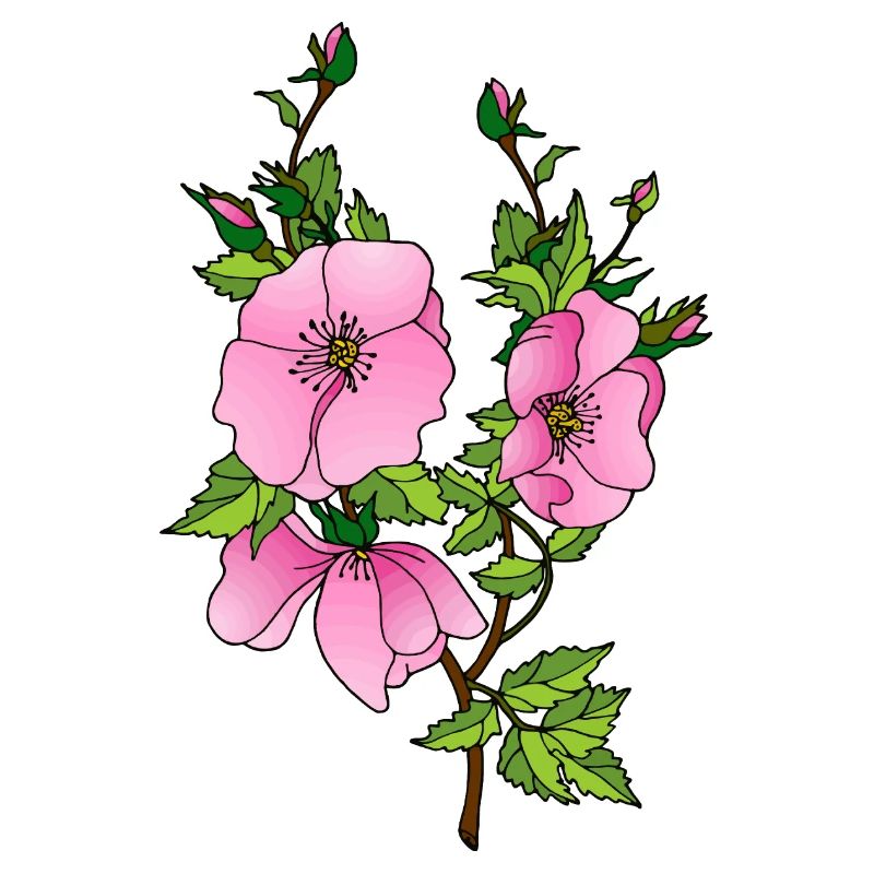 Fleur