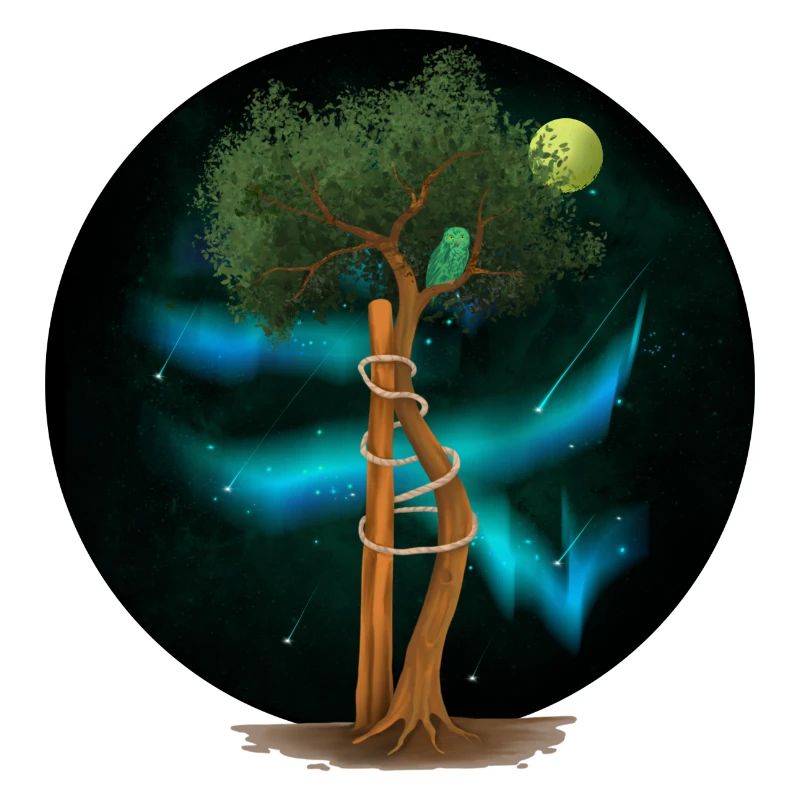 OT Baum in der Aurora Borealis (gOT it!)
