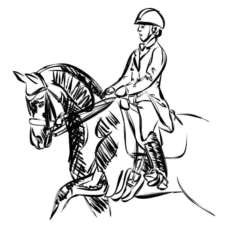 cheval et son cavalier