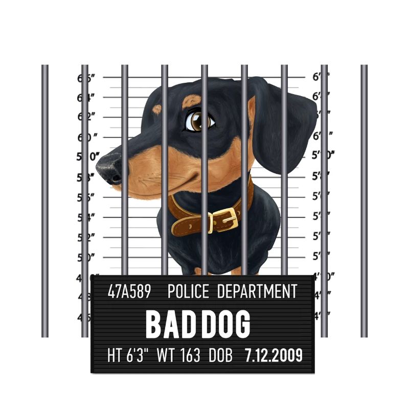 Dackel - Du bist nichts anderes als ein böser Hund
