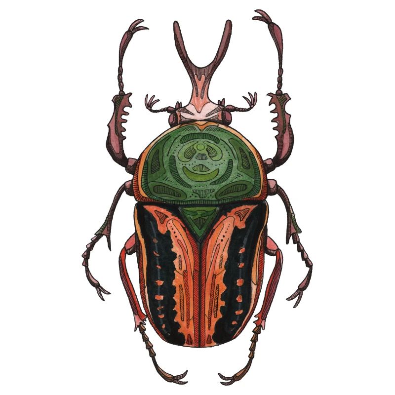 Big Beetle Stag - cerf géant