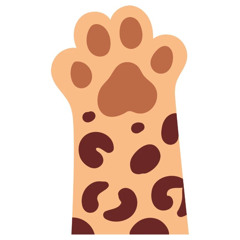 Katze