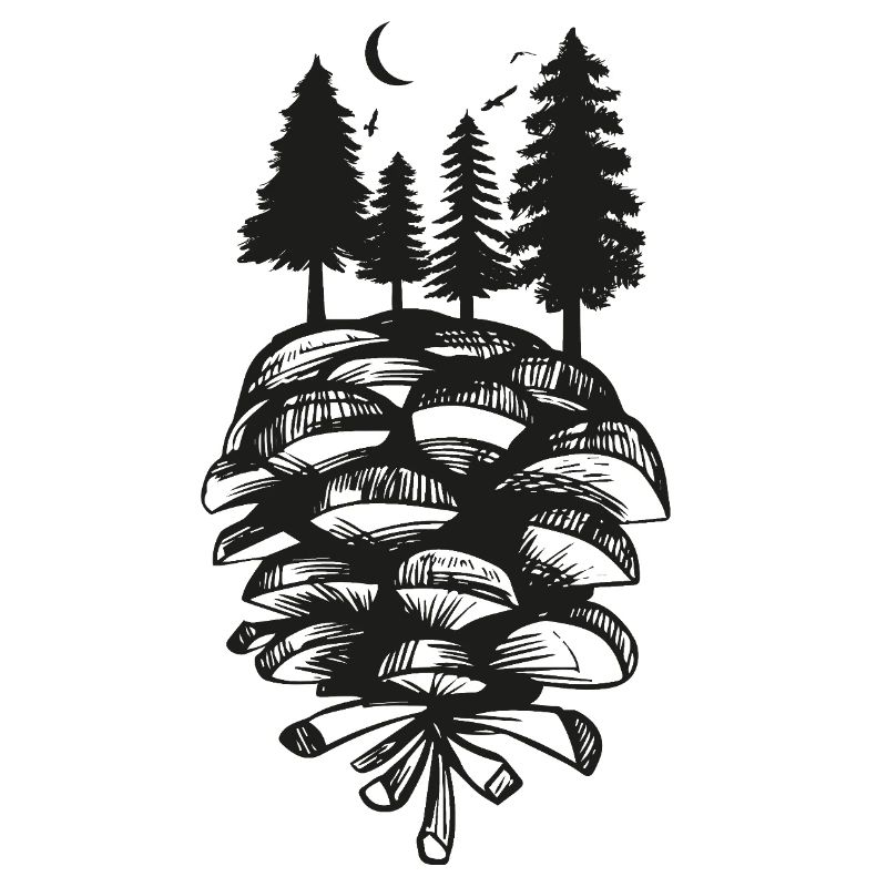 Pine Cone Nature Forest