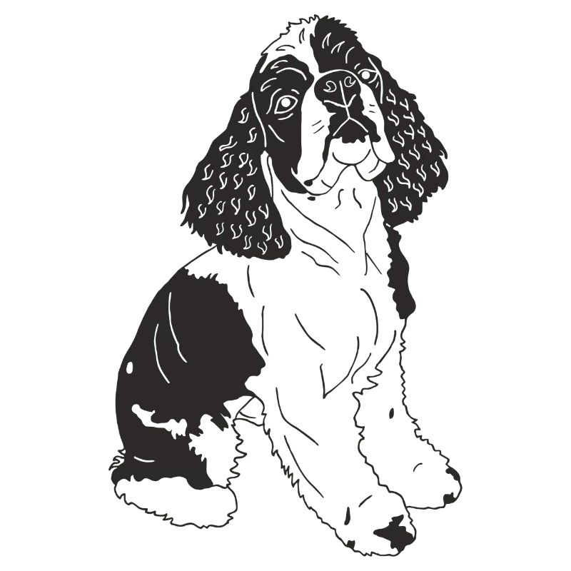 Cocker Spaniel