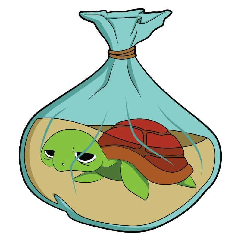 Turtle Climate Change Pollution