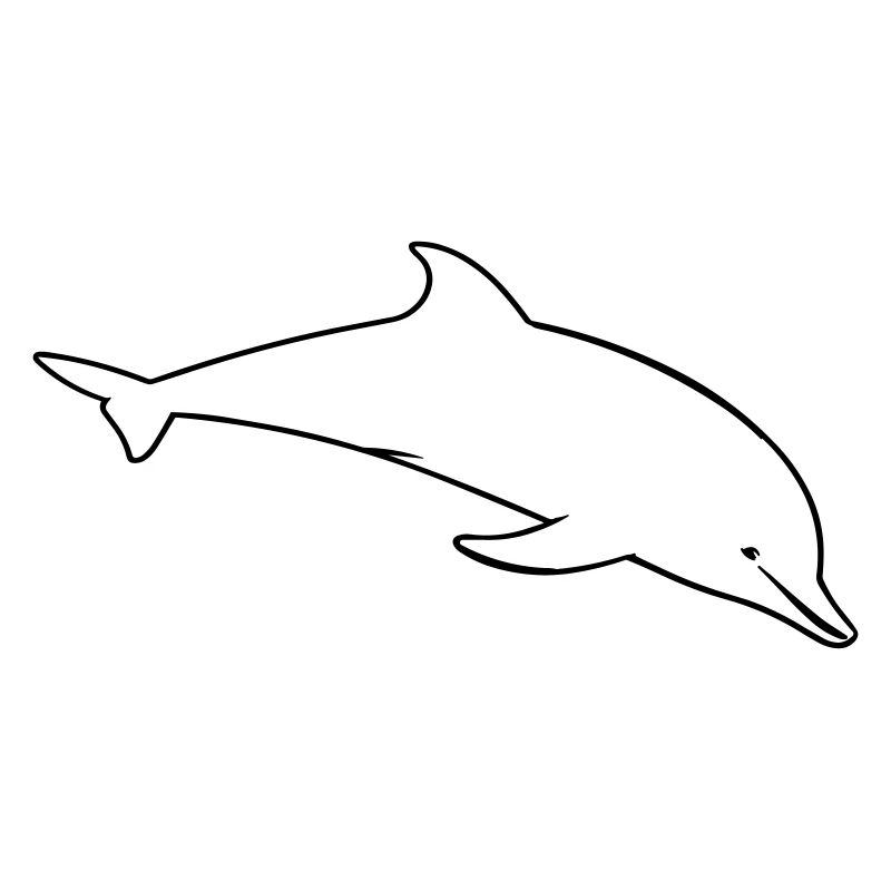 Dolphin