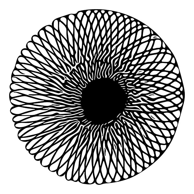 Geometric Optical 3D Circular Line Illusion