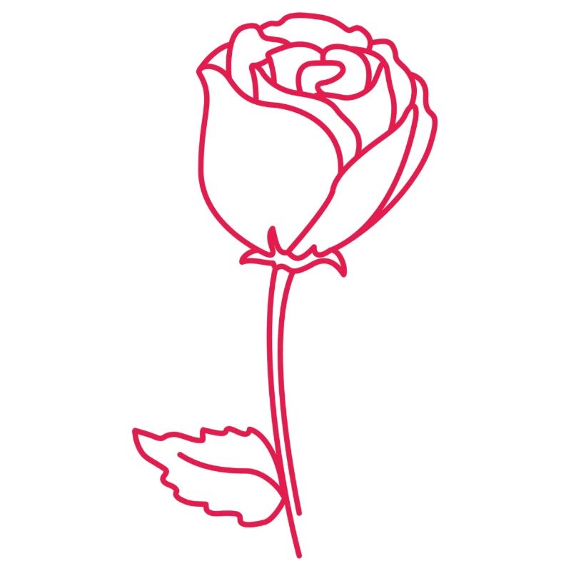 Rosenumriss Neonpink
